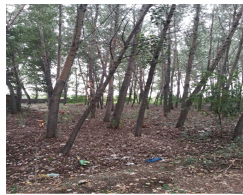 1̖(ho) ɽǧɽ^(q)h(yun)(zhn)O´弯wʹÙ(qun)