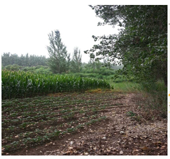 3̖(ho)  ɽǧɽ^(q)ꖚ(zhn)O´弯wʹÙ(qun)2̎