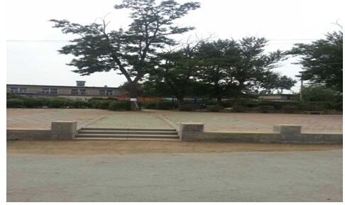 16̖(ho) ɽЖ|ɽ(zhn)ʹ弯wʹÙ(qun)