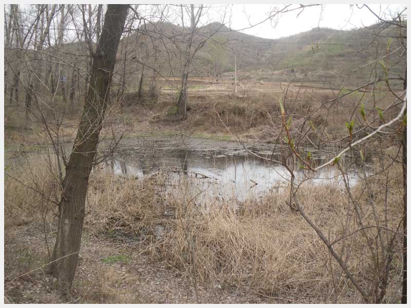 13̖(ho) н(zhn)μҴ巽